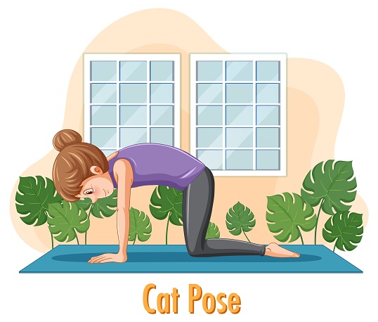 Cat stretch pose Cat stretch pose