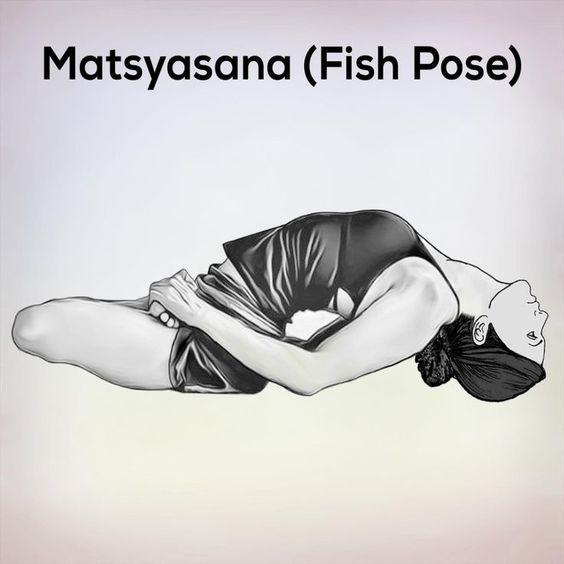 Matsyasana Matsyasana