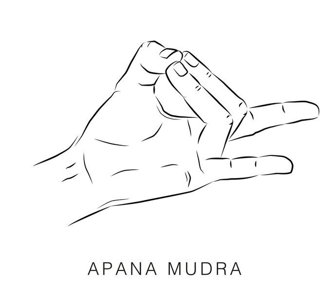 Apana Mudra (Mudra of Digestion) Apana Mudra (Mudra of Digestion)