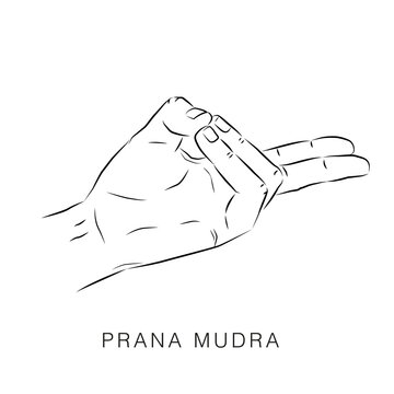 5 Yoga Mudras for Good Sleep and Cure Insomnia 2 Hand sign of Prana Mudra (Mudra of Life)