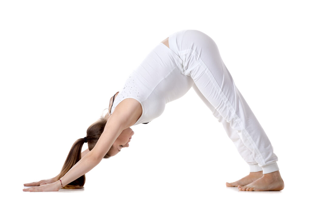 Adho Mukho Svanasana (Downward Facing Dog Pose) Adho Mukho Svanasana (Downward Facing Dog Pose)