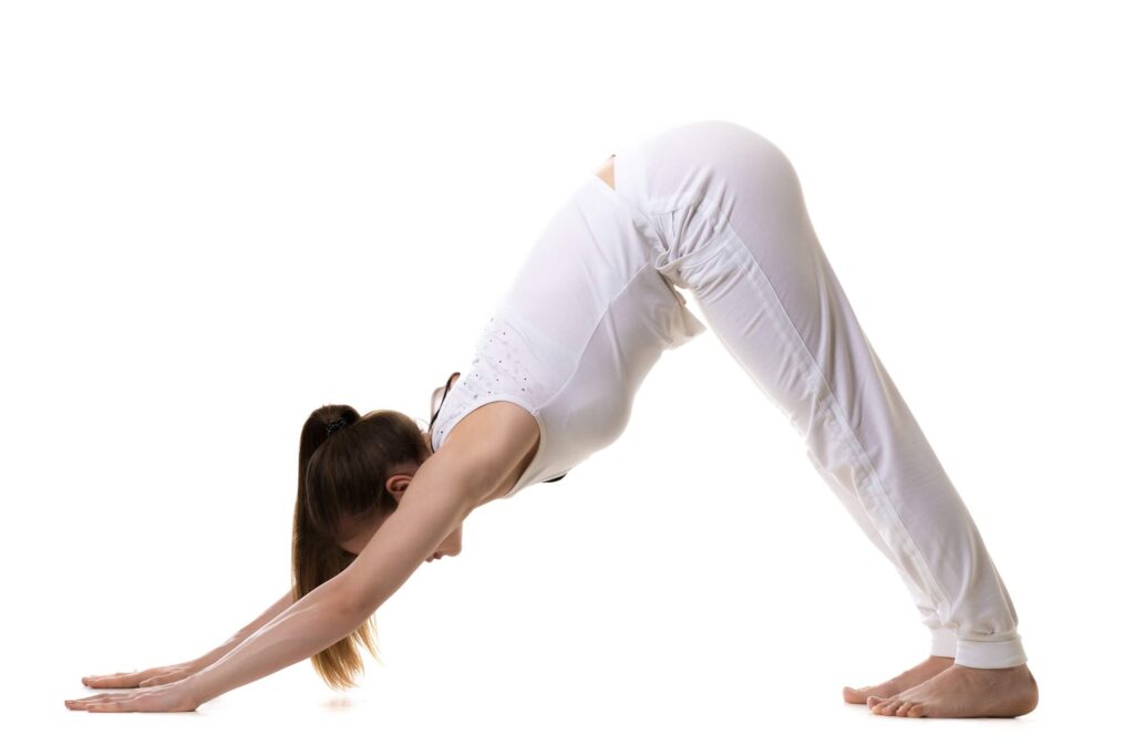 Adho Mukha Svanasana Adho Mukha Svanasana