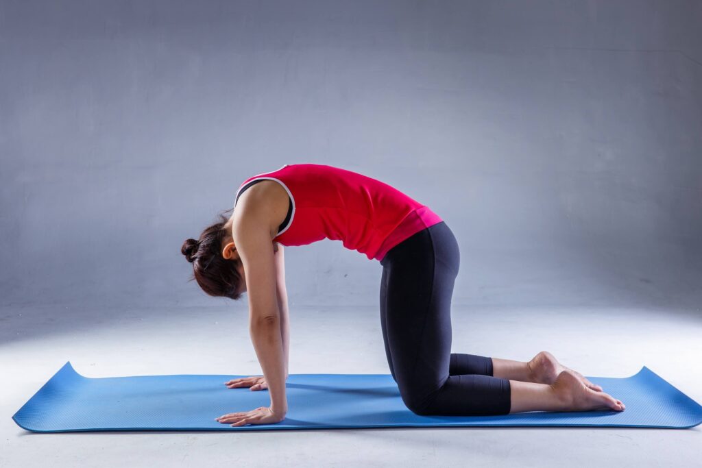 Cat Stretch Pose - Marjaryasana Cat Stretch Pose - Marjaryasana
