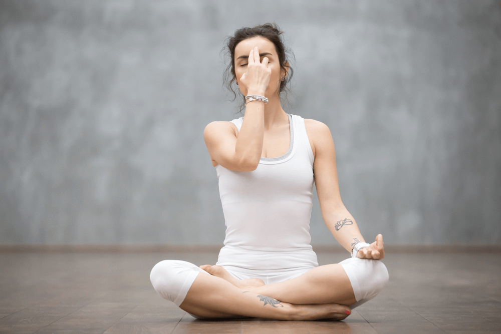 Anulom Vilom Pranayama Anulom Vilom Pranayama