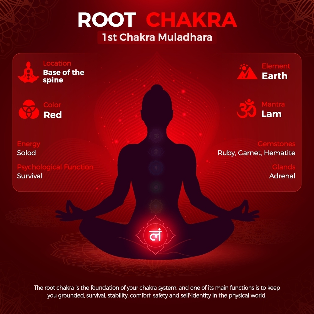 Essential Aspects of the Muladhara Chakra Essential Aspects of the Muladhara Chakra