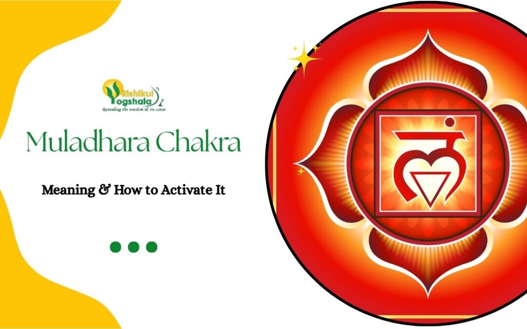 Muladhara Chakra: Meaning & How to Activate It