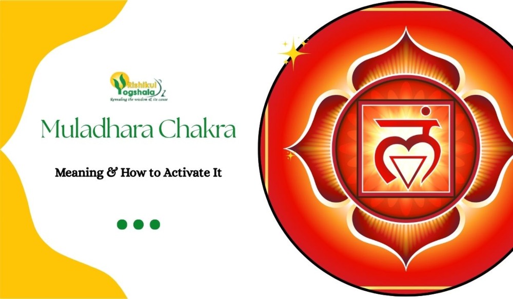 Muladhara Chakra: Meaning & How to Activate It