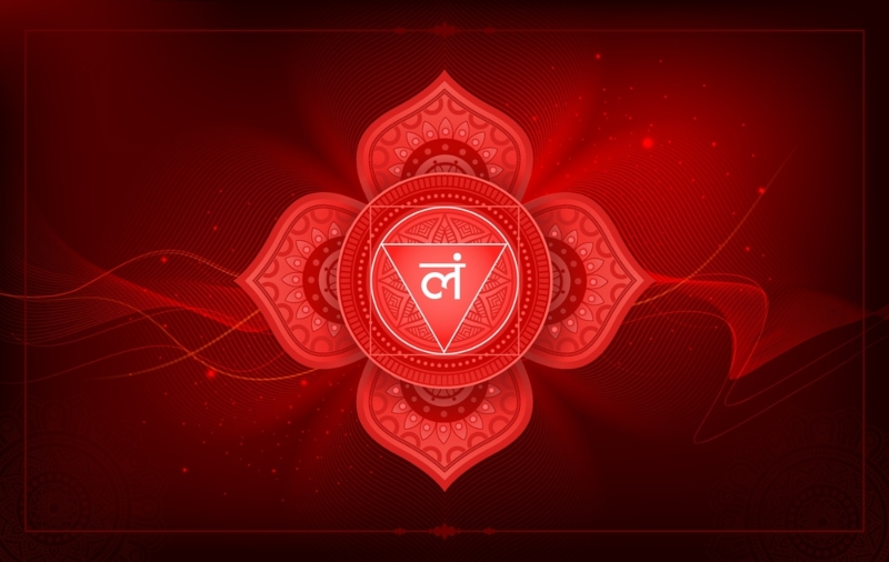 Muladhara Chakra Muladhara Chakra