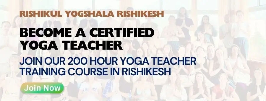 200 Hour Yoga Teacher Training in Rishikesh 200 Hour Yoga Teacher Training in Rishikesh
