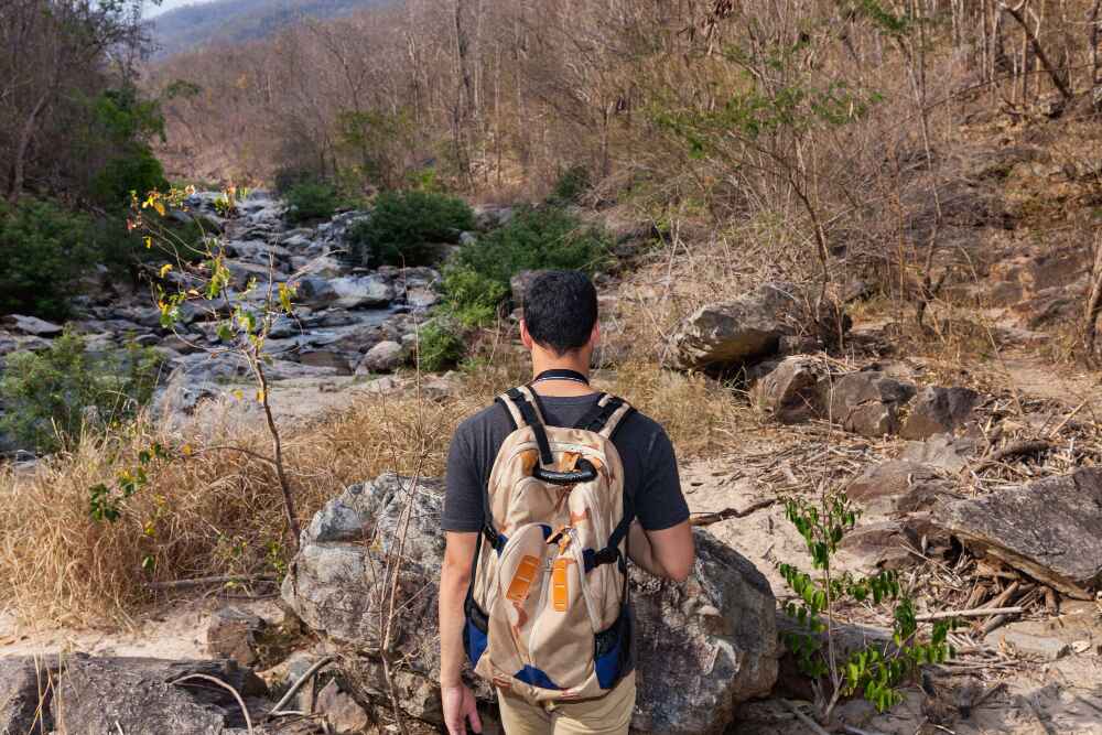 Men Trekking in jungle