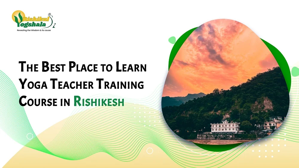 The Best Places to Learn Yoga Teacher Training Course in Rishikesh