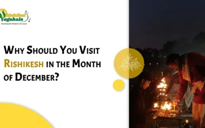 Visiting Rishikesh in December: A Gentle Guide to Year-End Retreats and Winter Quiet