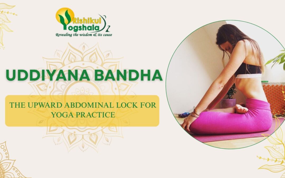 Uddiyana Bandha: The Upward Abdominal Lock for Yoga Practice