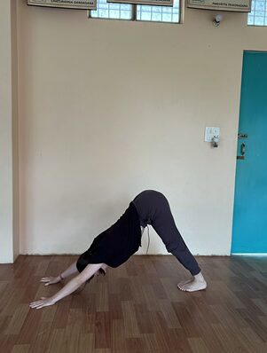 Surya Namaskar: The 12 Poses of Sun Salutation, Step by Step 7 Student Practicing Adho Mukha Svanasana During the 12 Poses of Sun Salutation