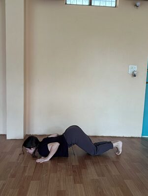 10 Easy Vinyasa Yoga Poses for Beginners You Can Practice at Home 3 Stuent Performing Knees-Chest-Chin Pose (Ashtanga Namaskara) During Vinyasa Yoga Session