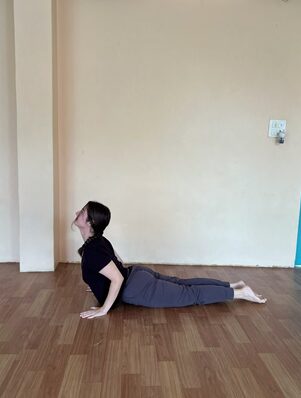 Surya Namaskar: The 12 Poses of Sun Salutation, Step by Step 6 Student Practicing Bhujangasana During the 12 Poses of Sun Salutation