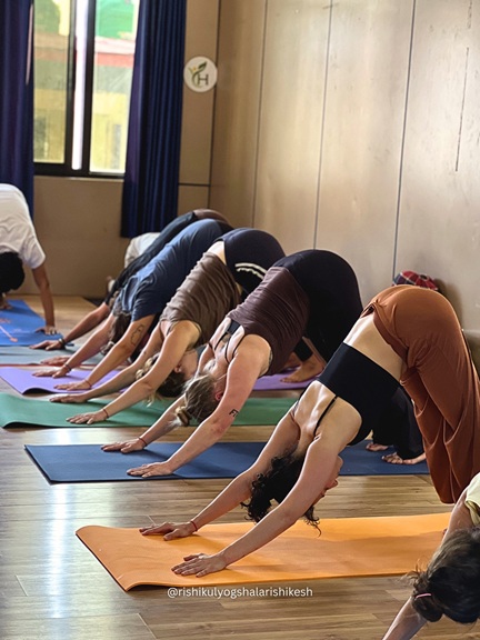 10 Easy Vinyasa Yoga Poses for Beginners You Can Practice at Home 4 Stuent Performing Downward-Facing Dog Pose (Adho Mukha Svanasana) During Vinyasa Yoga Session