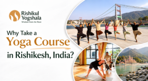 Why Take a Yoga Course in Rishikesh, India? 1 yoga course in Rishikesh