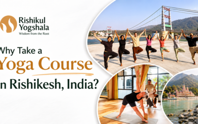 Why Take a Yoga Course in Rishikesh, India?