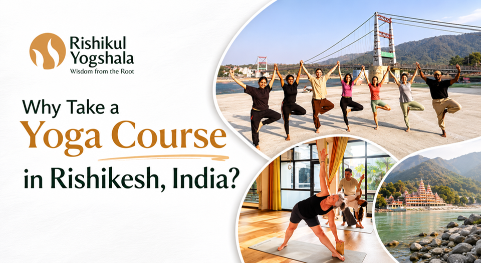 yoga course in Rishikesh yoga course in Rishikesh