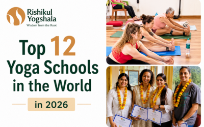 Top 12 Yoga Schools in the World in 2026
