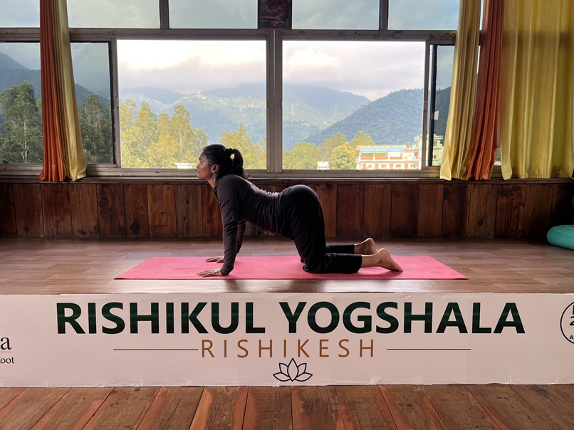 Student Practising Cow Pose (Bitilasana)
