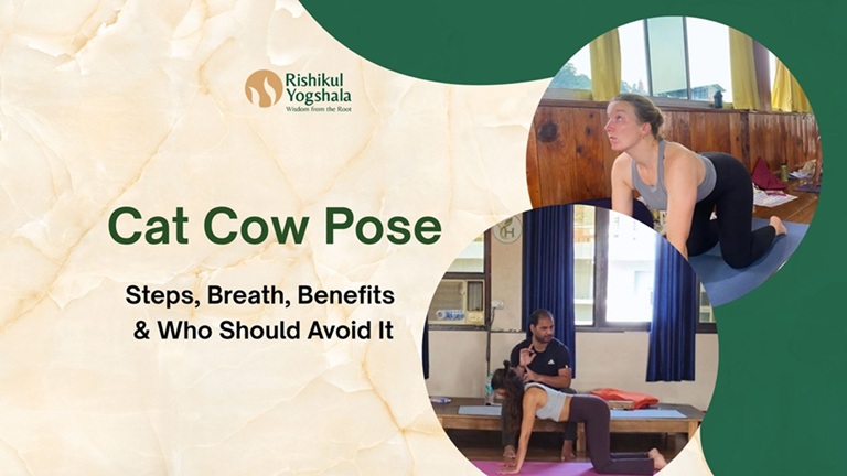 Cat Cow Pose