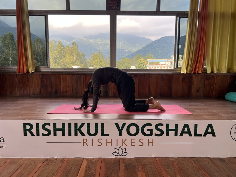 Student Practicing Cat Pose (Marjaryasana)