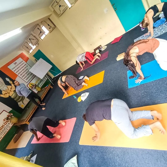 Students Practicing Cat Cow Pose