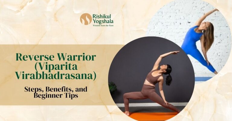 Reverse Warrior (Viparita Virabhadrasana)