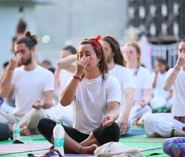 300 Hour Yoga Teacher Training at Rishikul Yogshala Rishikesh