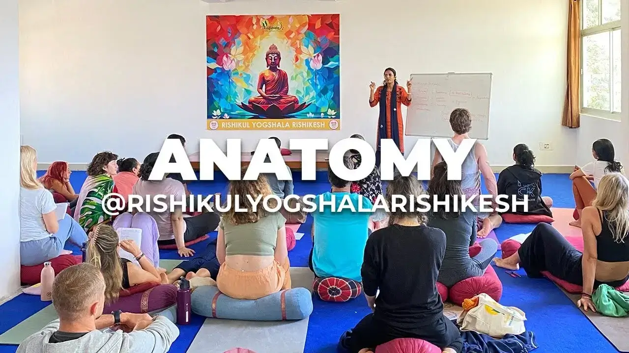 Advanced anatomy and physiology class for yoga teacher training