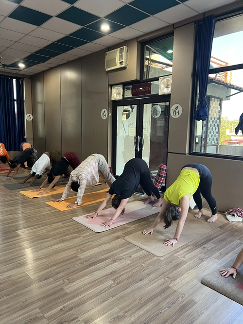 100 Hour Yoga Teacher Training in India for Beginners